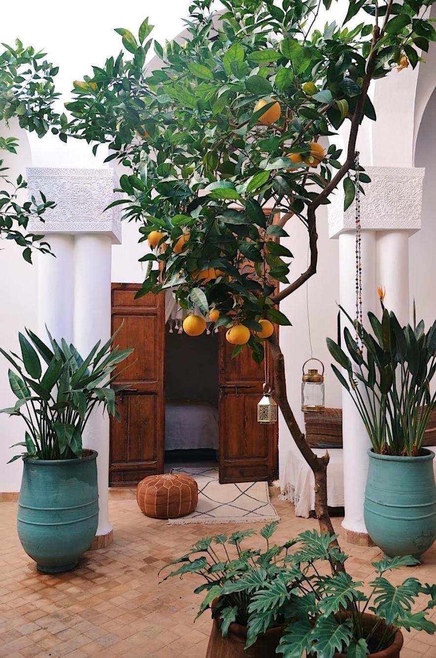 Nosade Venue Bed and Breakfast Marrakesh Buitenkant foto