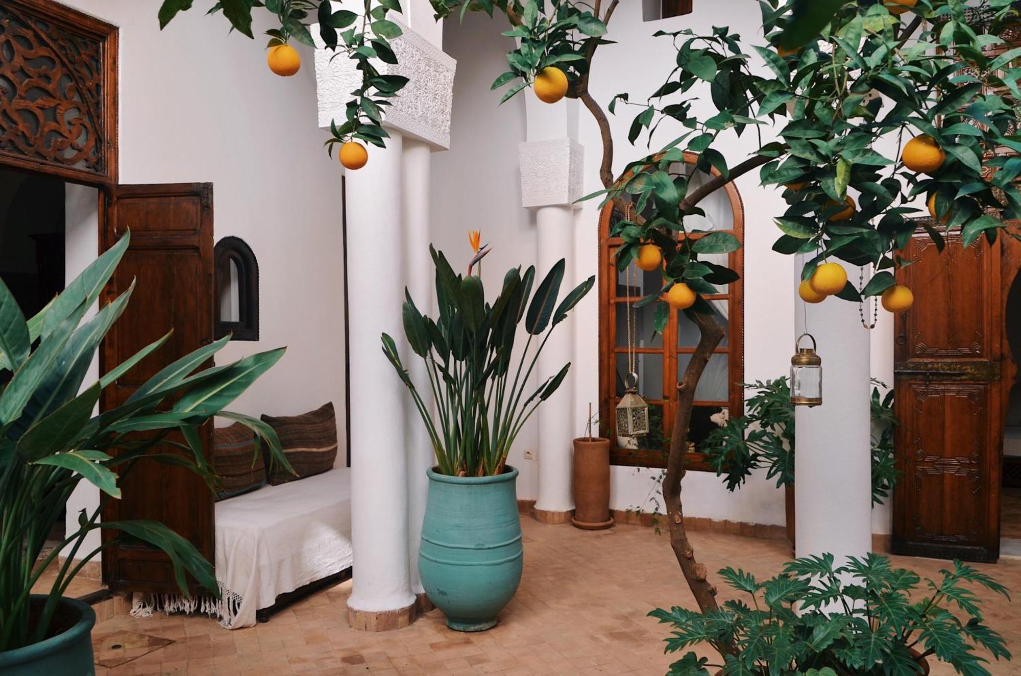 Nosade Venue Bed and Breakfast Marrakesh Buitenkant foto